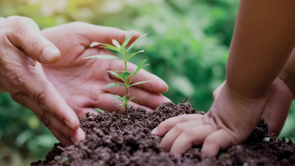 Nurturing the Culture of Philanthropy in Daily Life