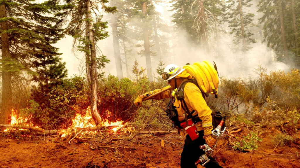 Philanthropy for Climate Disaster Mitigation and Resilience