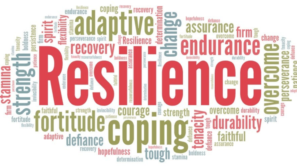 Philanthropy for Climate Disaster Mitigation and Resilience